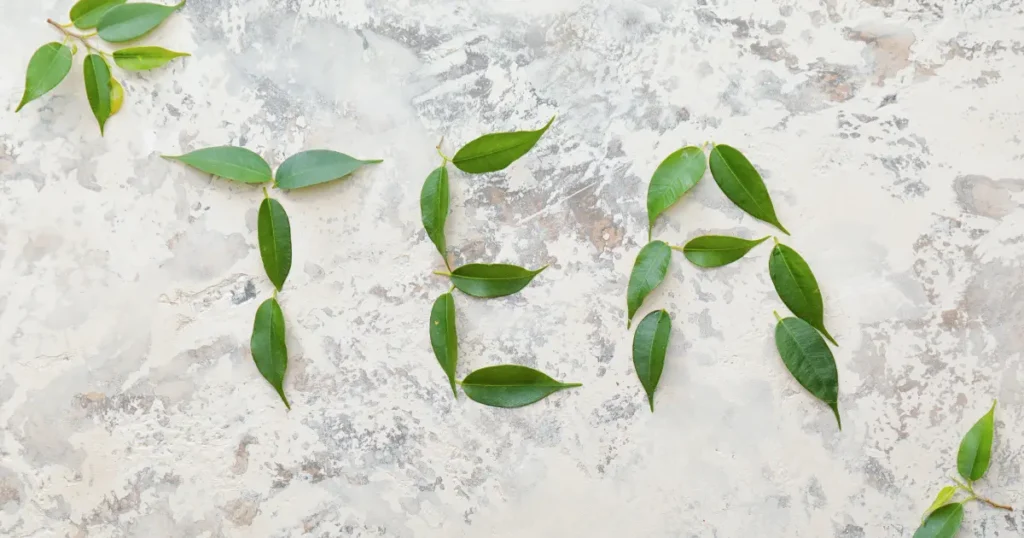 teh hijau terbuat dari apa