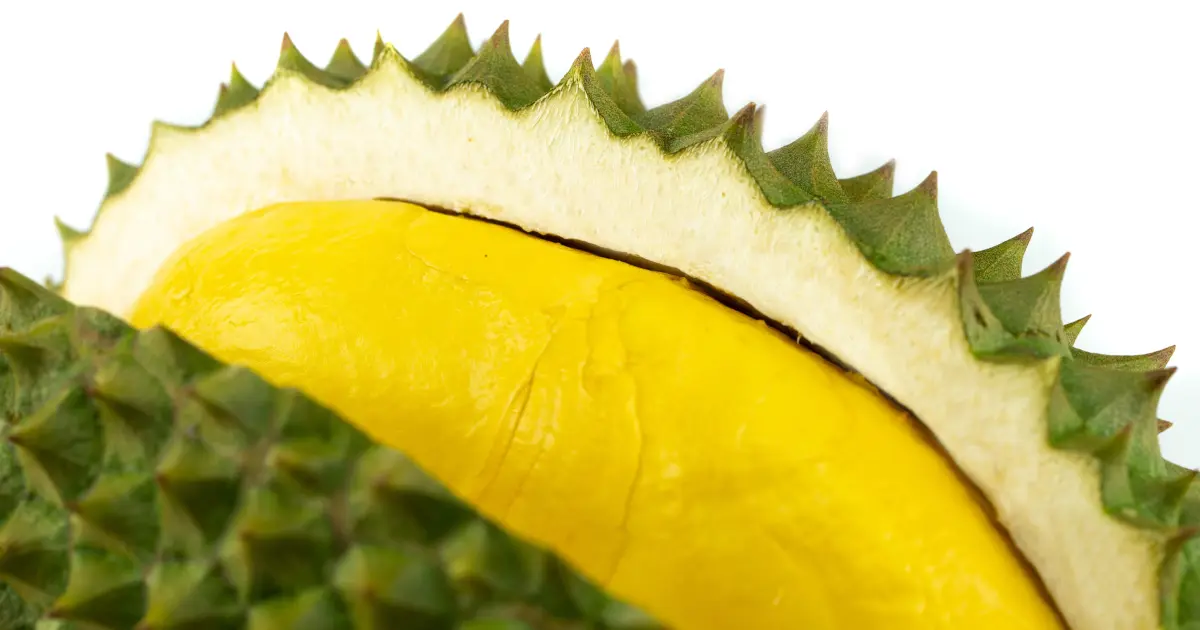 mengatasi panas setelah makan durian