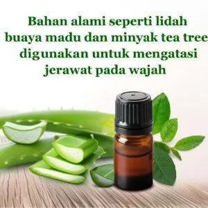 10 Obat Jerawat Alami Yang Ampuh Dan Efektif Untuk Kecantikan Kulit 